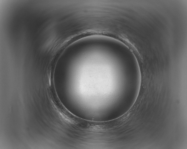 X0000083990062200702161143