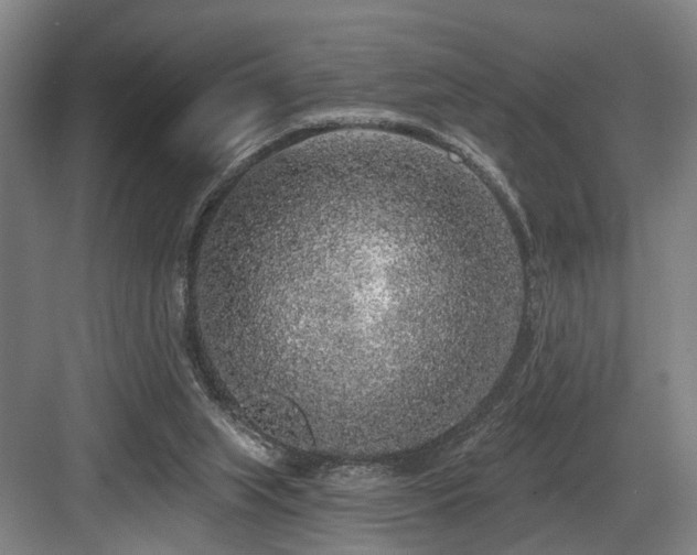 X0000083990063200702161143