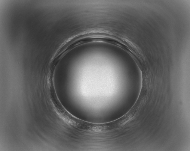 X0000083990064200702161143