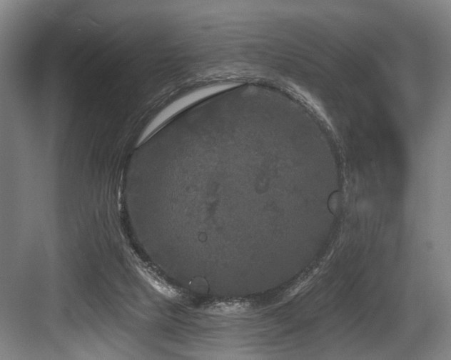 X0000083990065200702161143