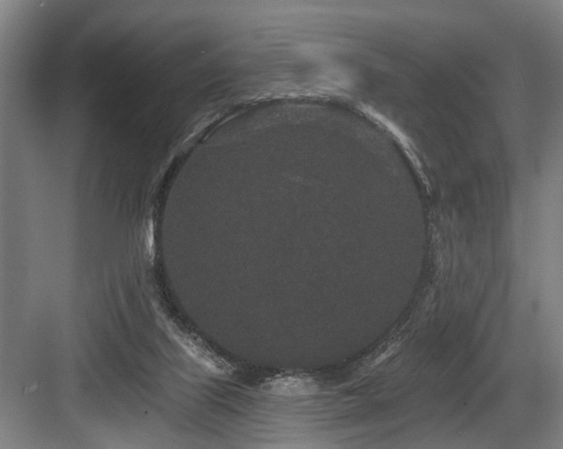 X0000083990067200702161143