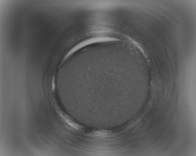 X0000083990069200702161143