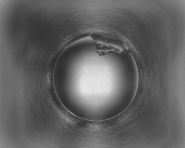 X0000083990071200702161143