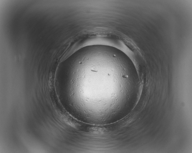 X0000083990073200702161143