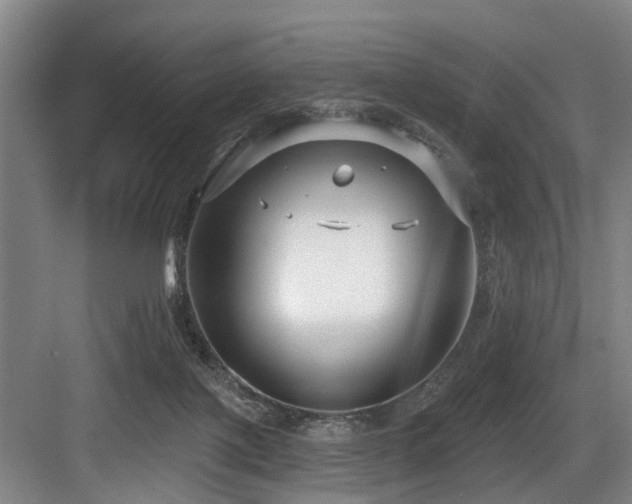 X0000083990075200702161143