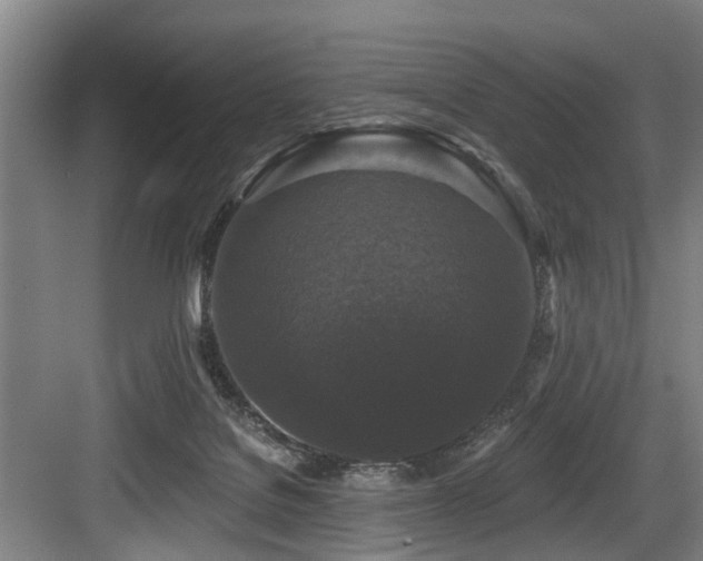 X0000083990076200702161143