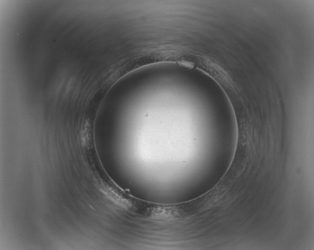 X0000083990077200702161143