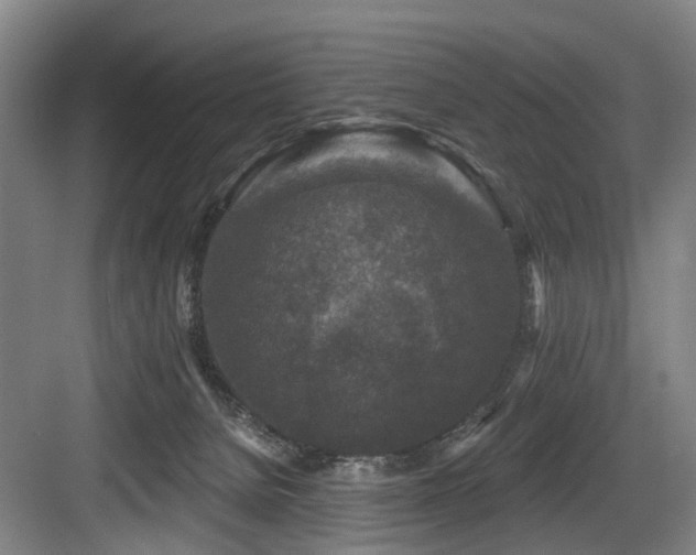 X0000083990080200702161143