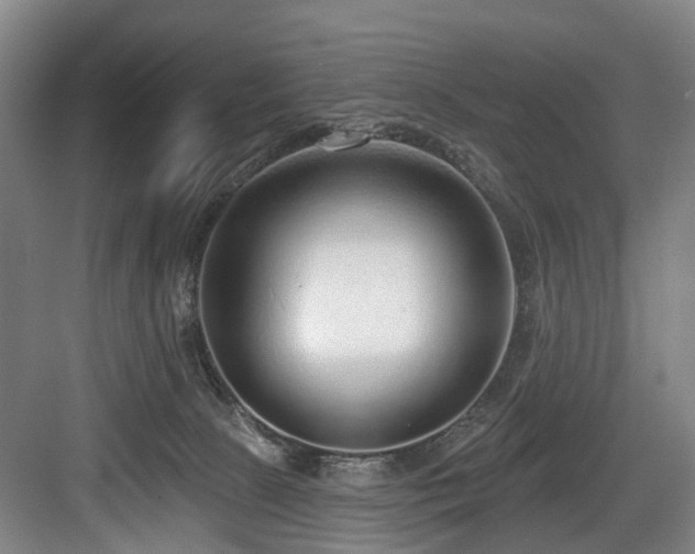 X0000083990081200702161143