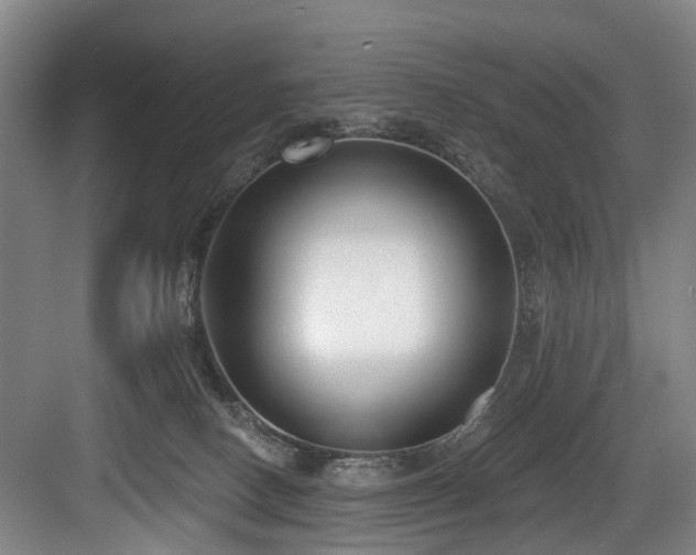 X0000083990082200702161143