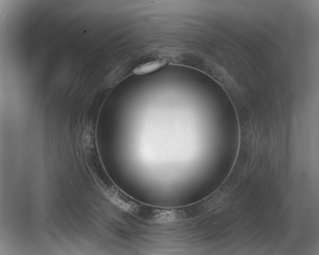 X0000083990083200702161143