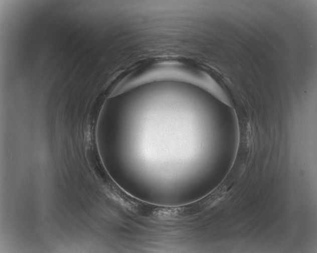 X0000083990084200702161143