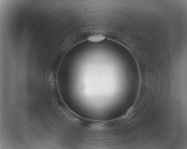 X0000083990086200702161143