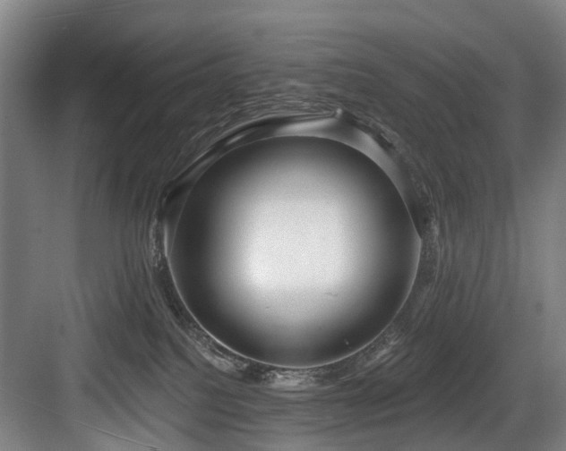 X0000083990088200702161143