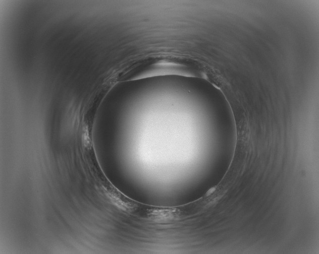 X0000083990089200702161143