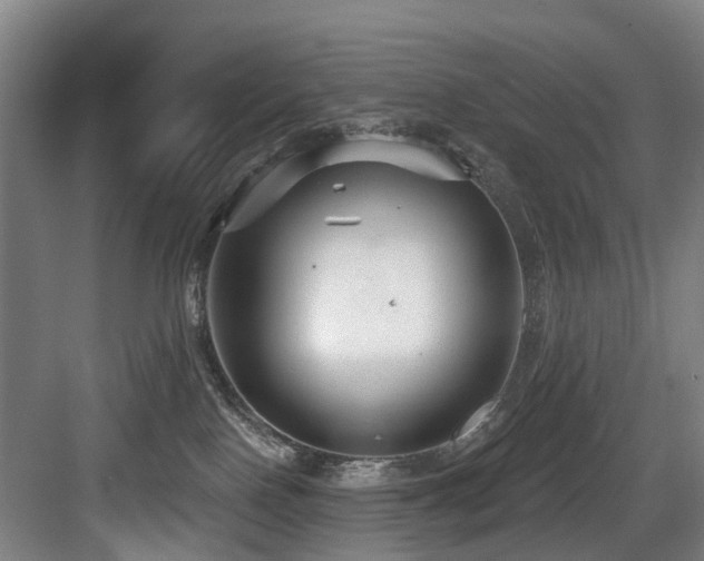 X0000083990090200702161143