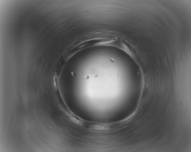 X0000083990094200702161143