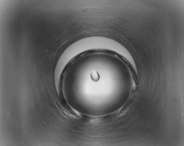 X0000083990095200702161144