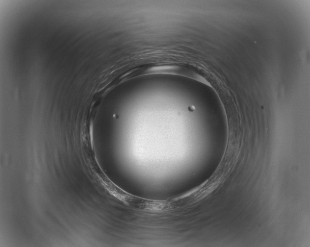 X0000083990096200702161144