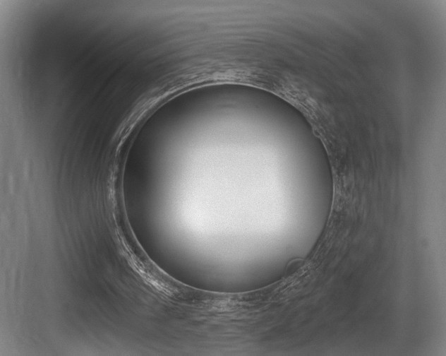 X0000083990098200702161143