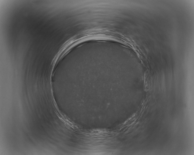 X0000083990099200702161143