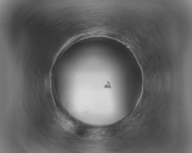 X0000083990100200702161143