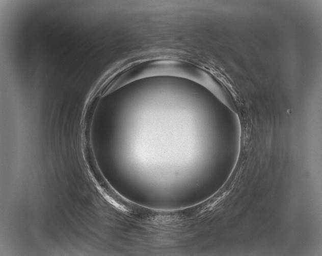 X0000083990101200702161143