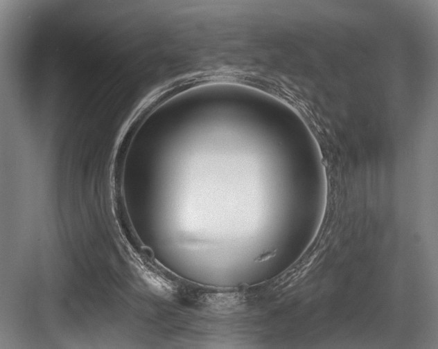 X0000083990102200702161143