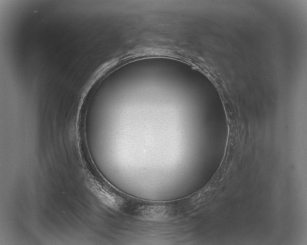 X0000083990104200702161143