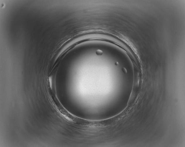 X0000083990105200702161143