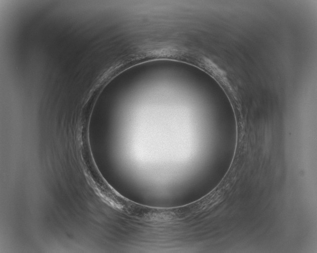 X0000083990106200702161143