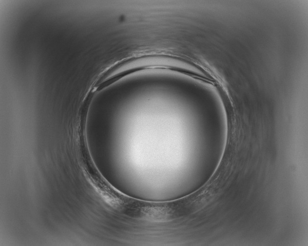 X0000083990107200702161143