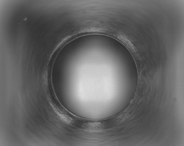 X0000083990108200702161143