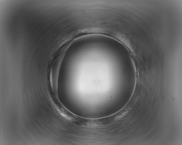 X0000083990109200702161143