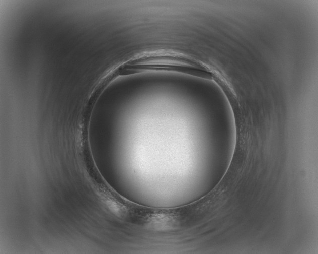 X0000083990111200702161142