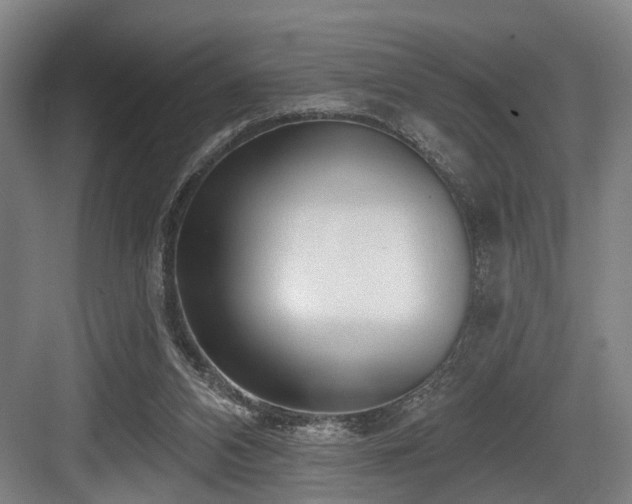 X0000083990112200702161142