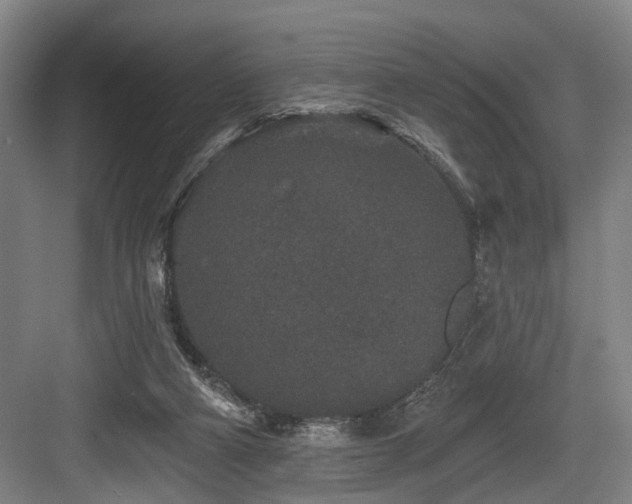 X0000083990114200702161142