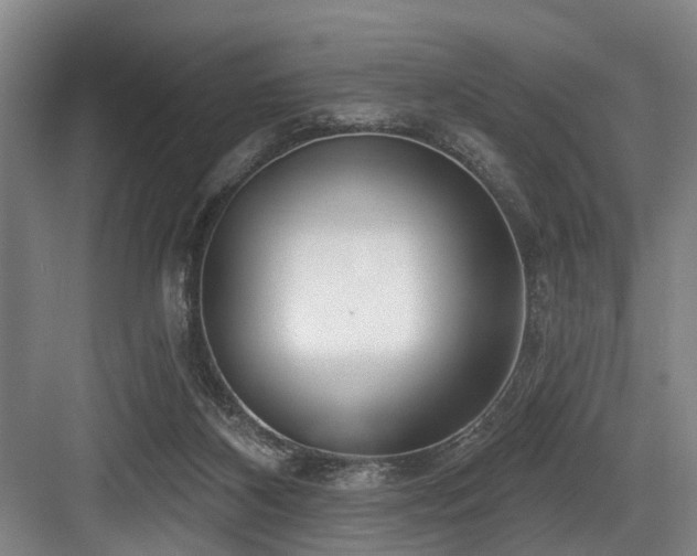 X0000083990116200702161142