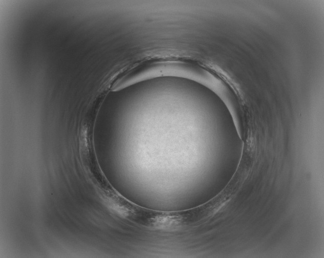 X0000083990117200702161142