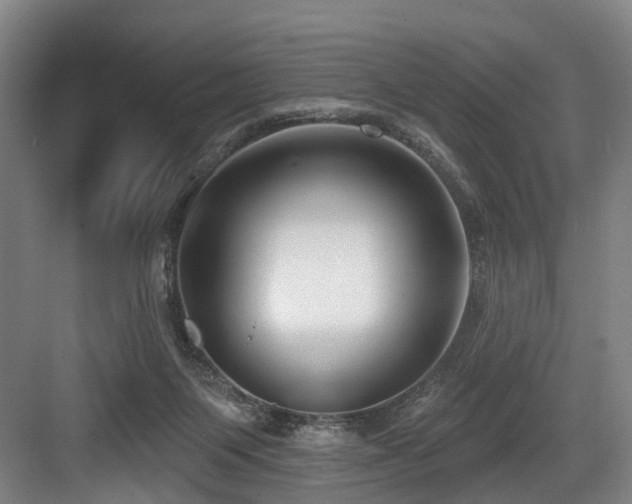 X0000083990119200702161142