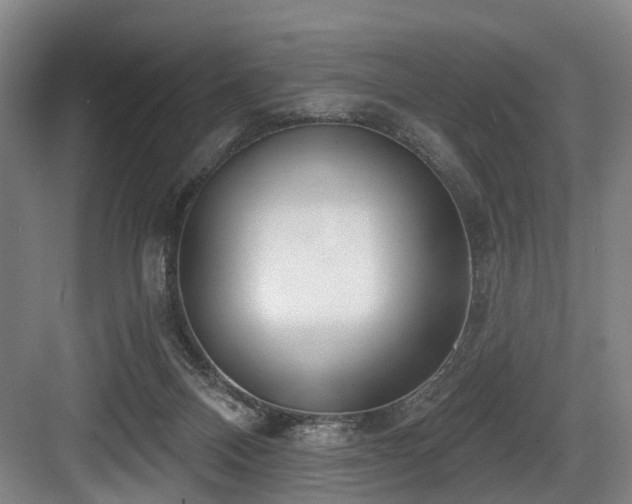 X0000083990120200702161142