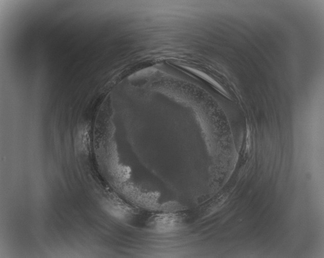 X0000083990127200702161142