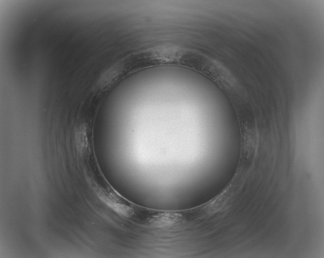 X0000083990128200702161142