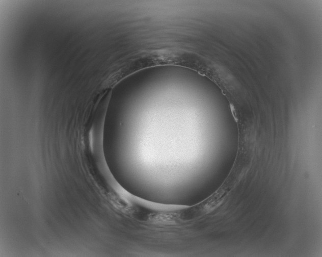 X0000083990129200702161142