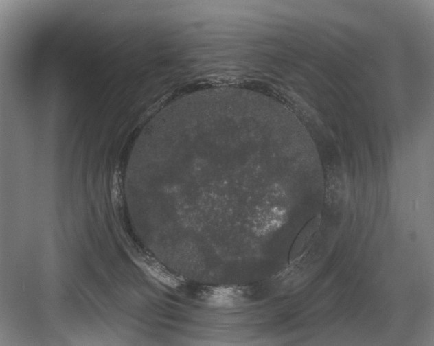 X0000083990130200702161142