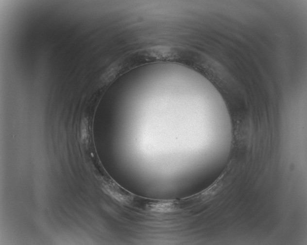 X0000083990132200702161142