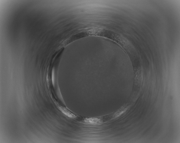 X0000083990137200702161142