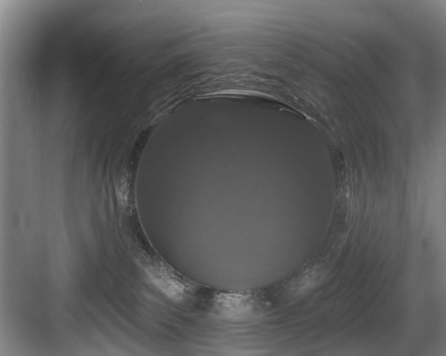 X0000083990139200702161142