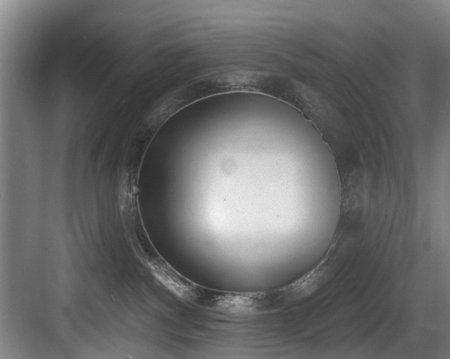 X0000083990140200702161142