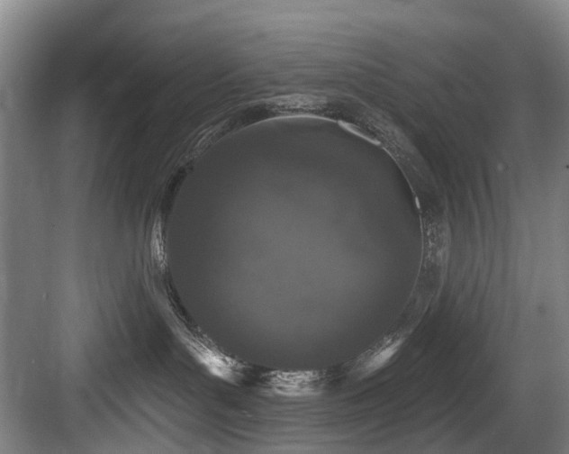 X0000083990143200702161142